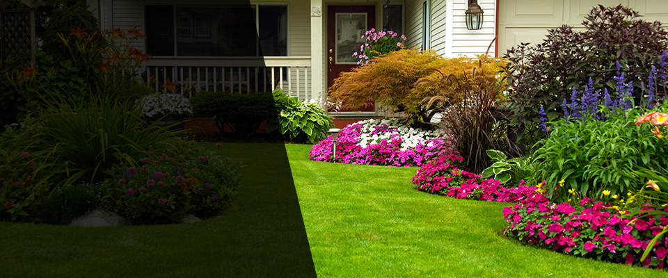 Rio Linda Landscapers