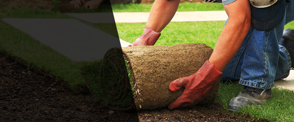 Rio Linda Landscapers